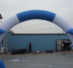 Arch1-155 Dolphin arco inflable