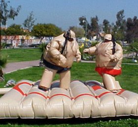 T11-125 Conjunto de sumo de boxeo