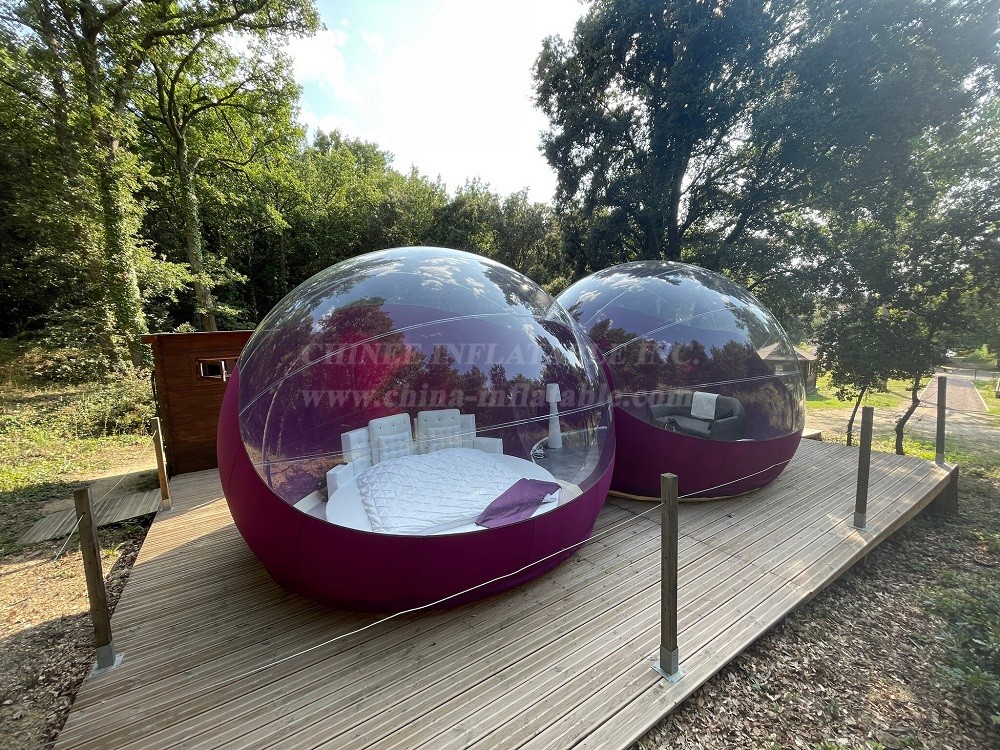 Tent1-5024 Purple Bubble Tent